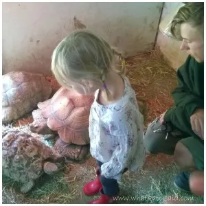 zoo 1