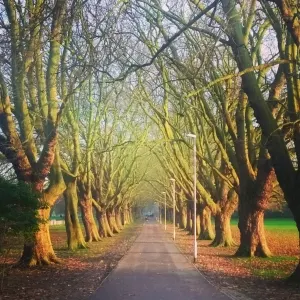 InstagramCapture_88a27dfe-c352-4f44-a38c-464c7fc1b555[1]