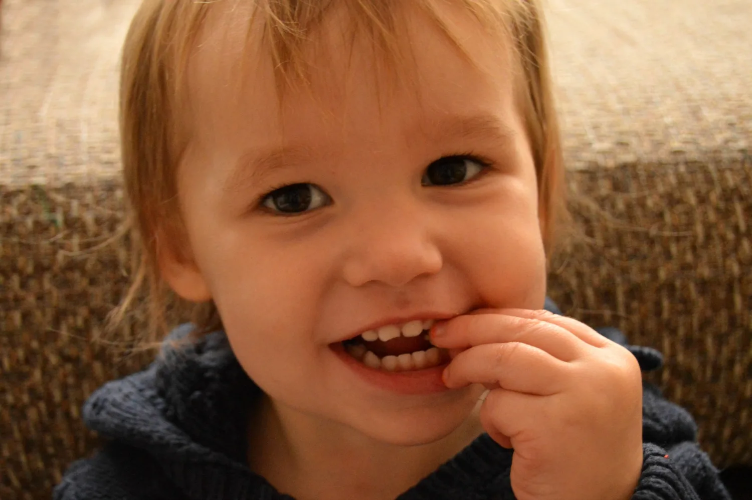 eating the snack organisation dried fruit