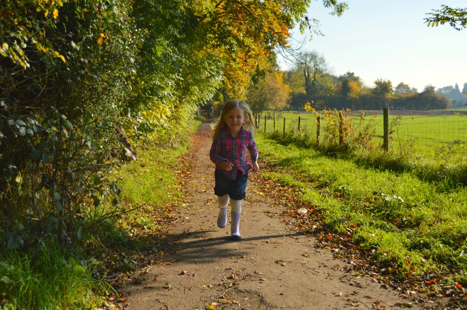 little g november walk