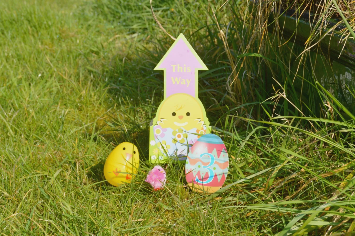 Easter Egg Hunt 3