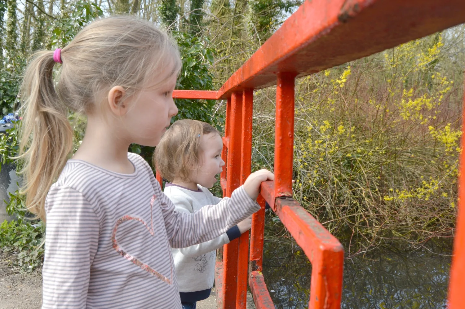Girls looking at the ducks