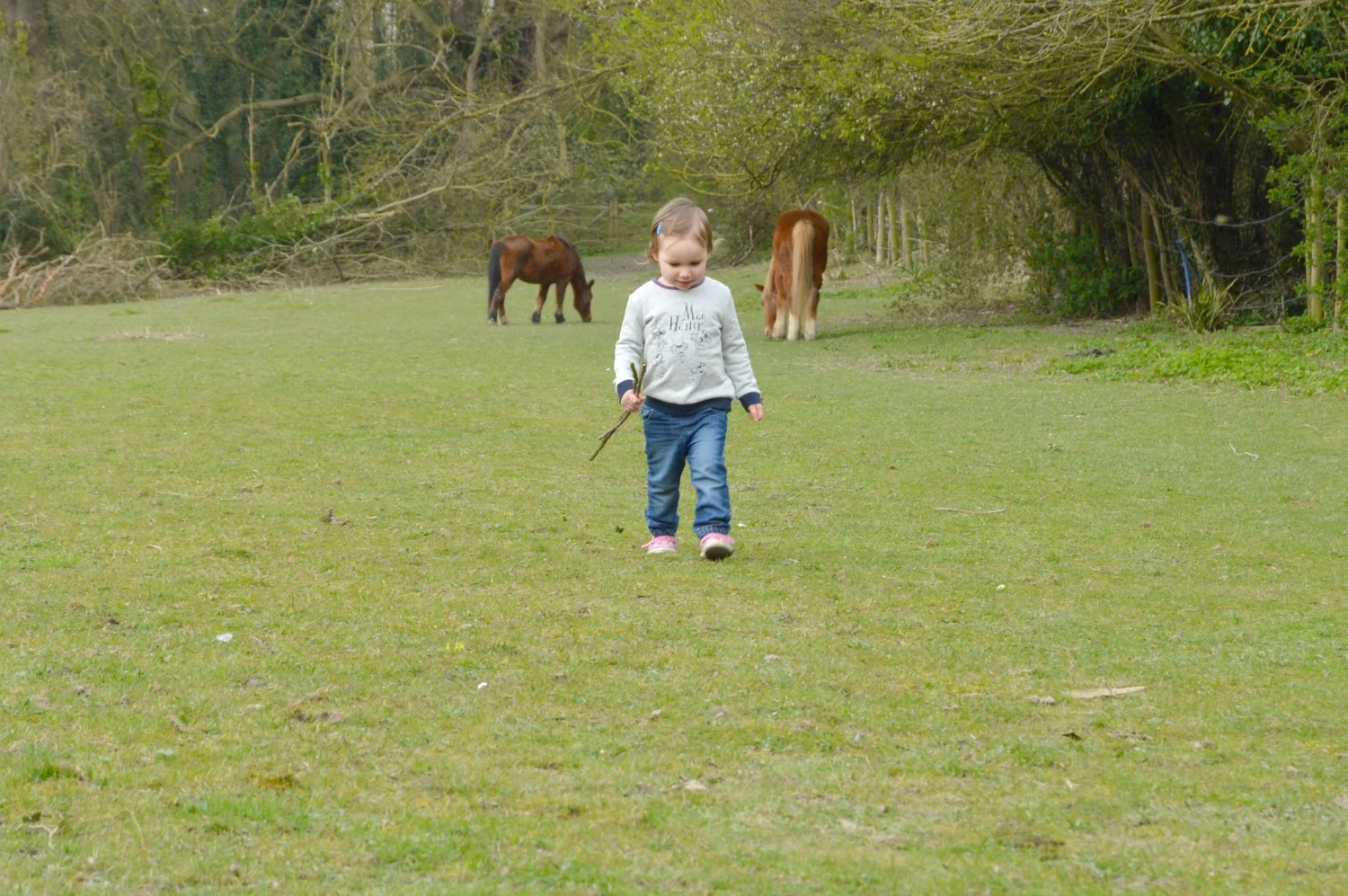 LJ and the horses