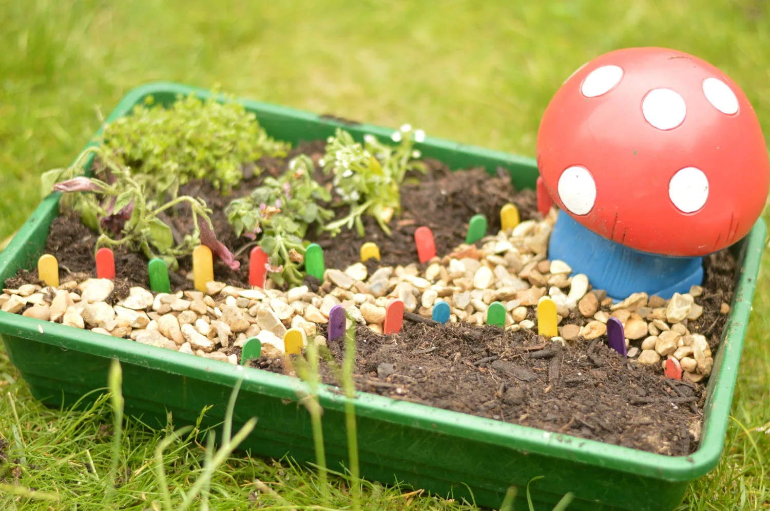 Our Fairy Garden