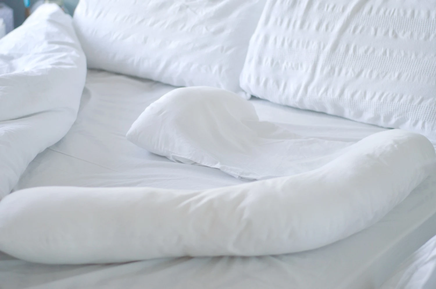 Dreamgenii Pregnancy Pillow