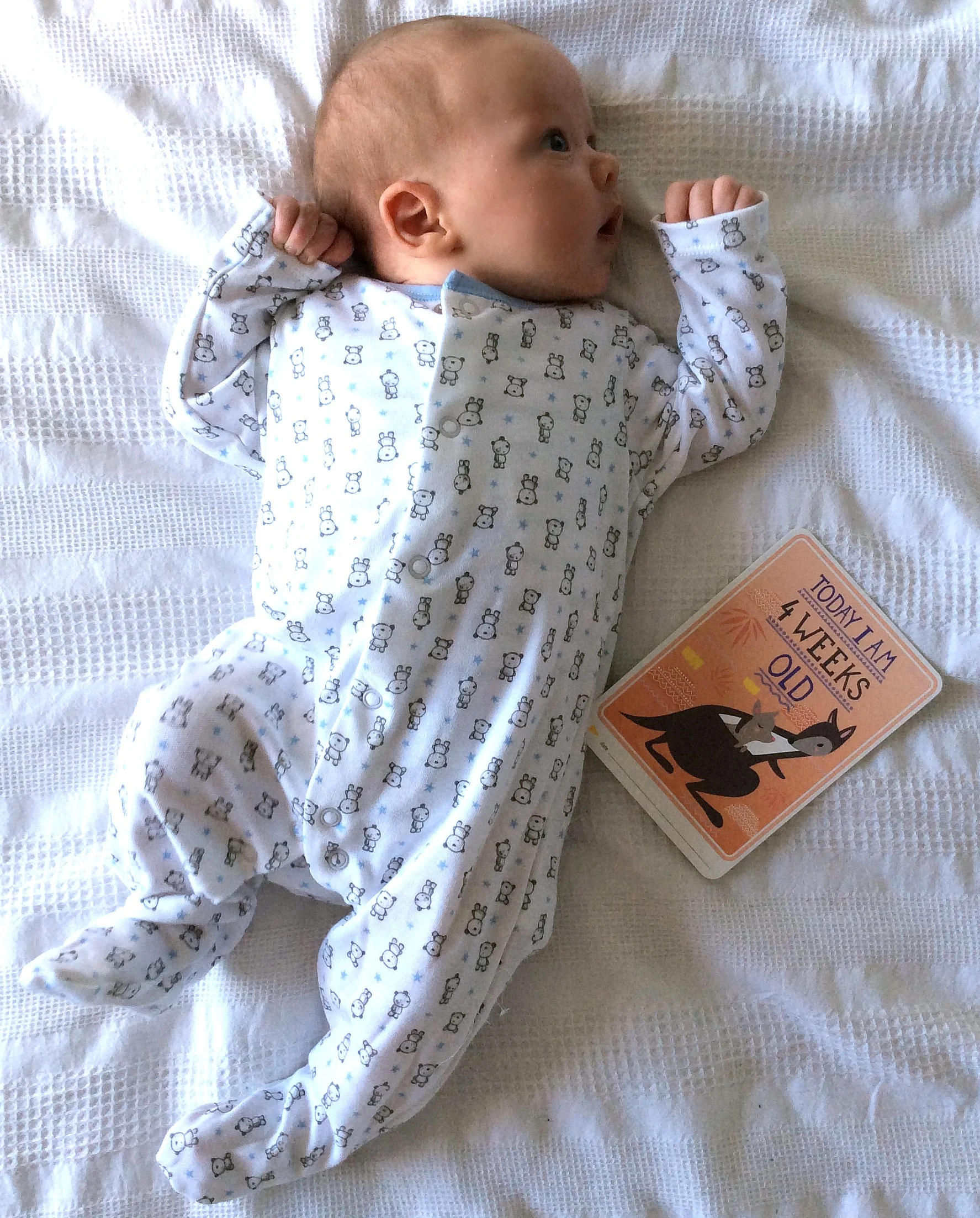 4 weeks old