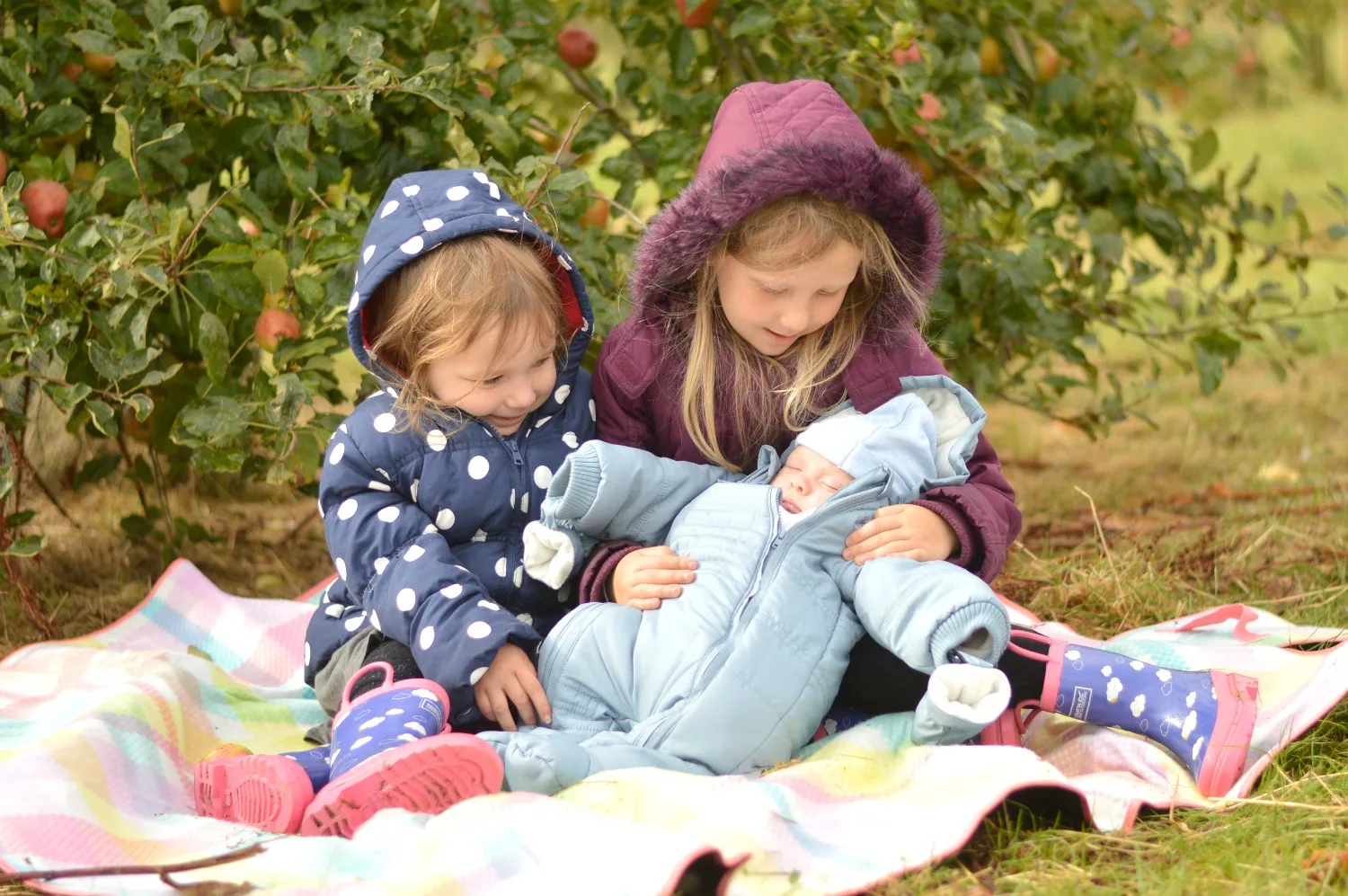 siblings october 2016