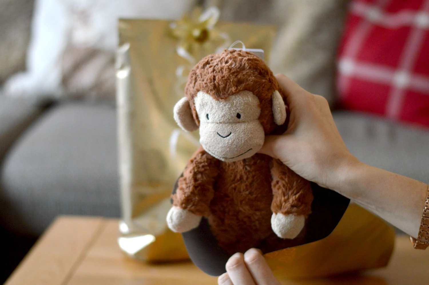 monkey in a gift bag