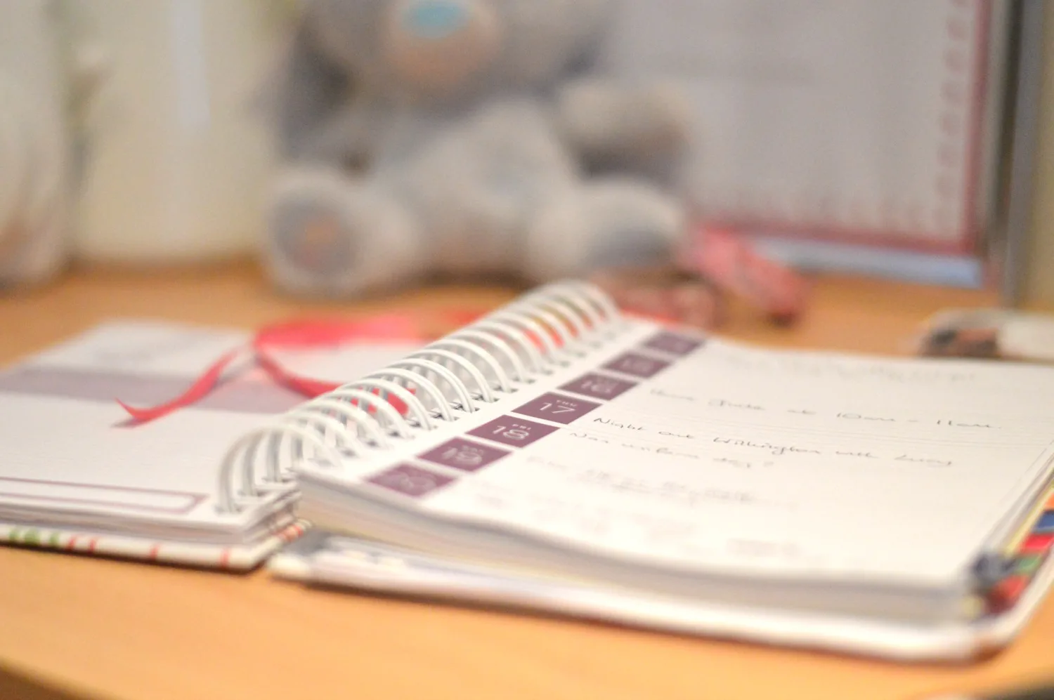 my diary
