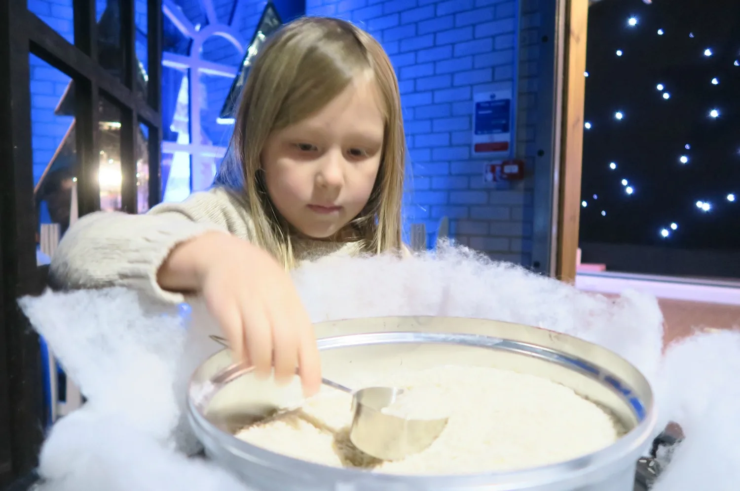 Making reindeer food