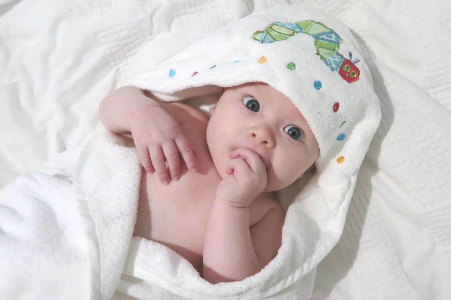 The Very Hungry Caterpillar Hooded Towel