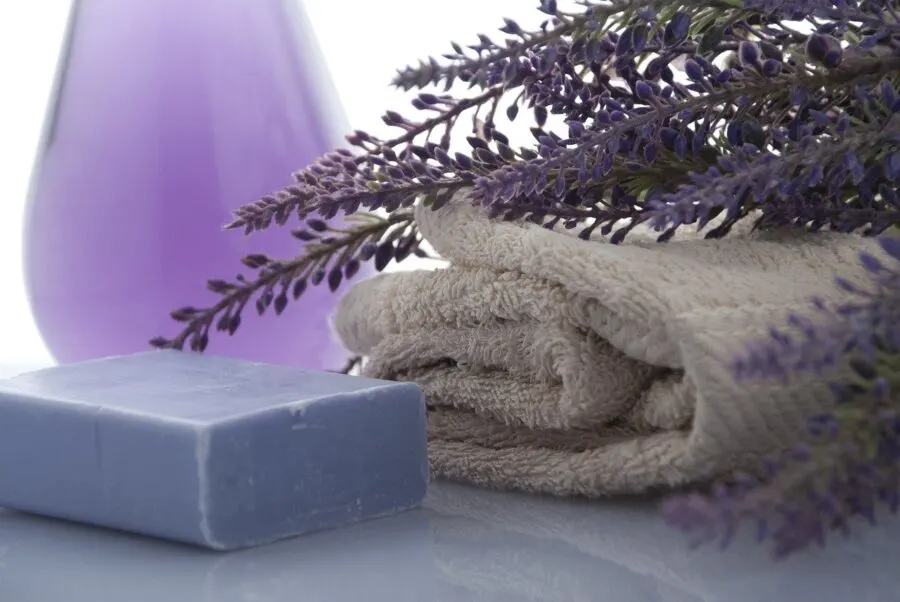 lavender soap and sprigs
