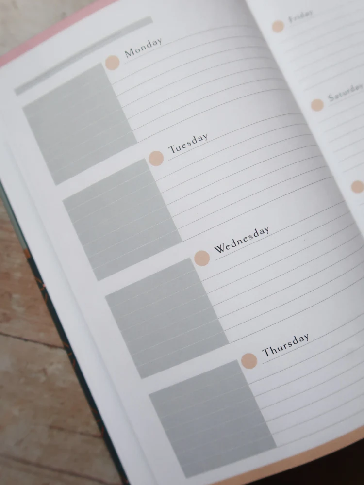 daily planner spread