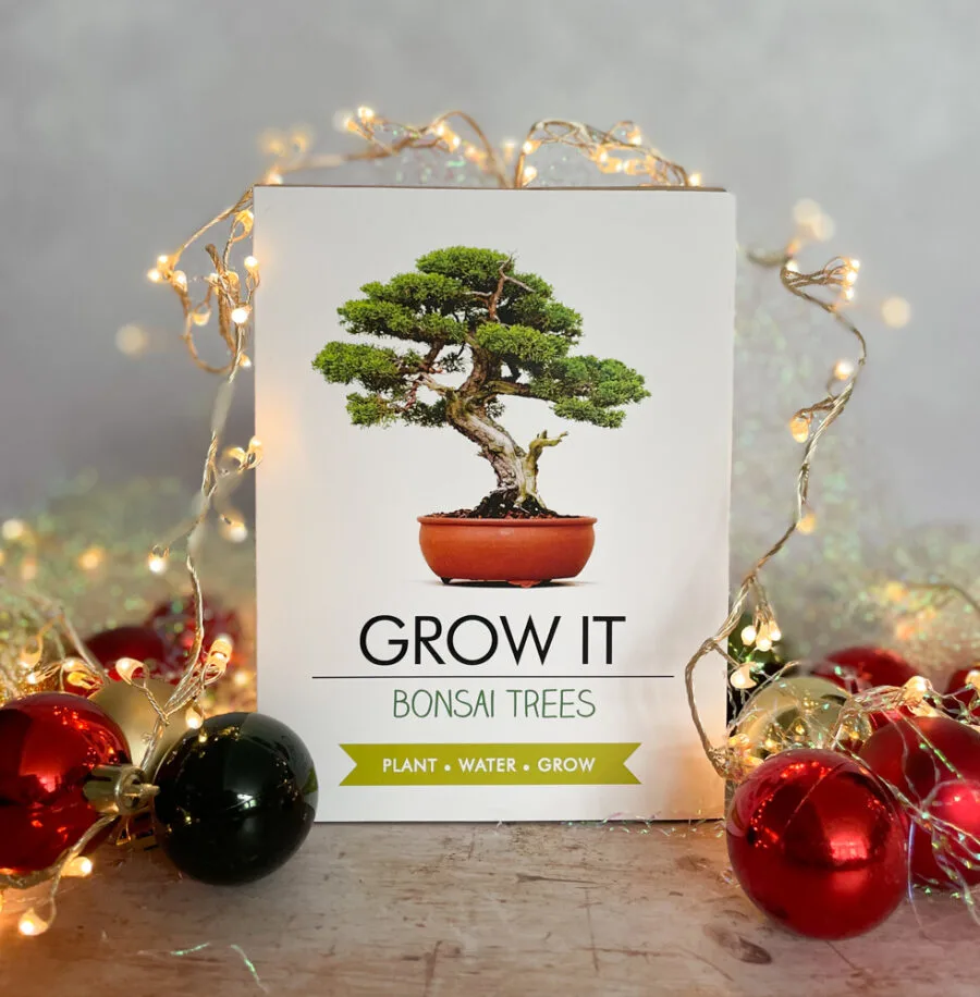 Bonsai kit