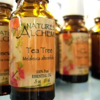 bottles of tea tree oil