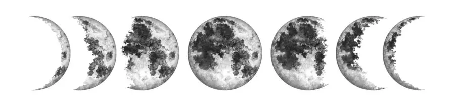 phases of the moon