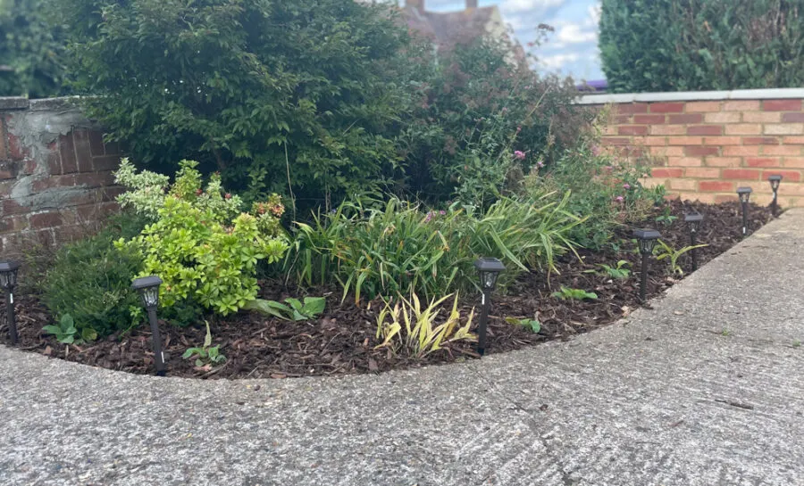 solar stake lights in garden