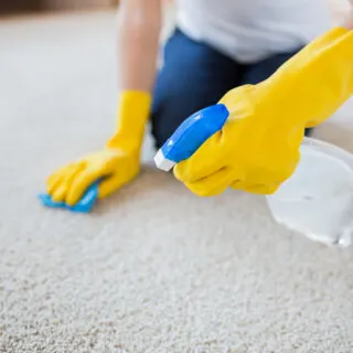 cleaning a carpet