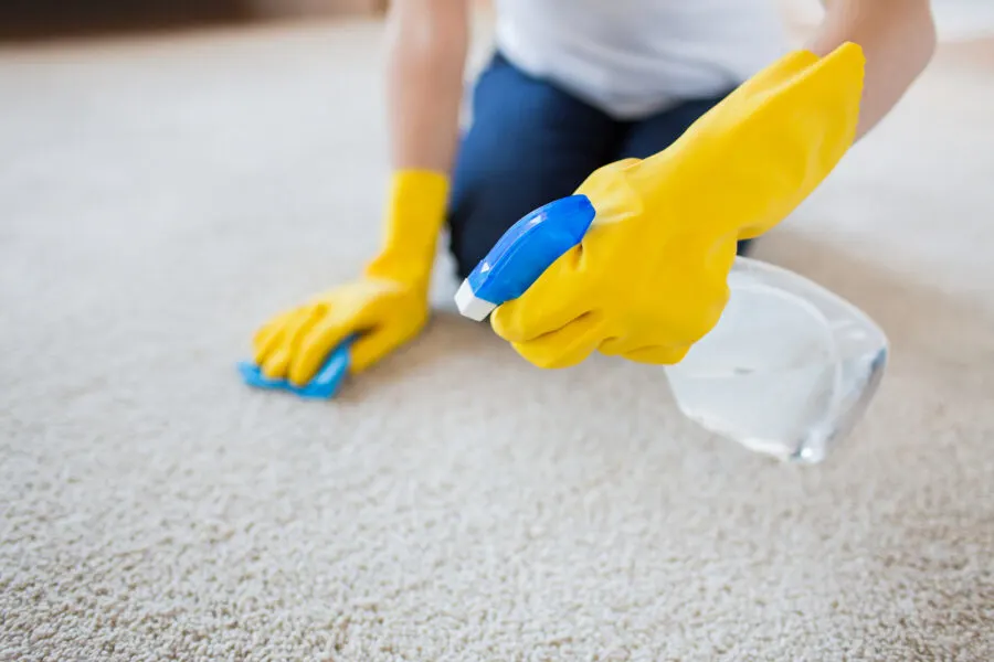 cleaning a carpet
