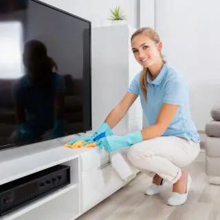 Woman Cleaning The Furniture Of Living Room