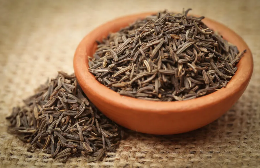 Caraway Plant seeds