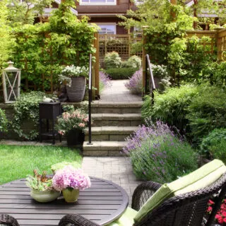 Small garden